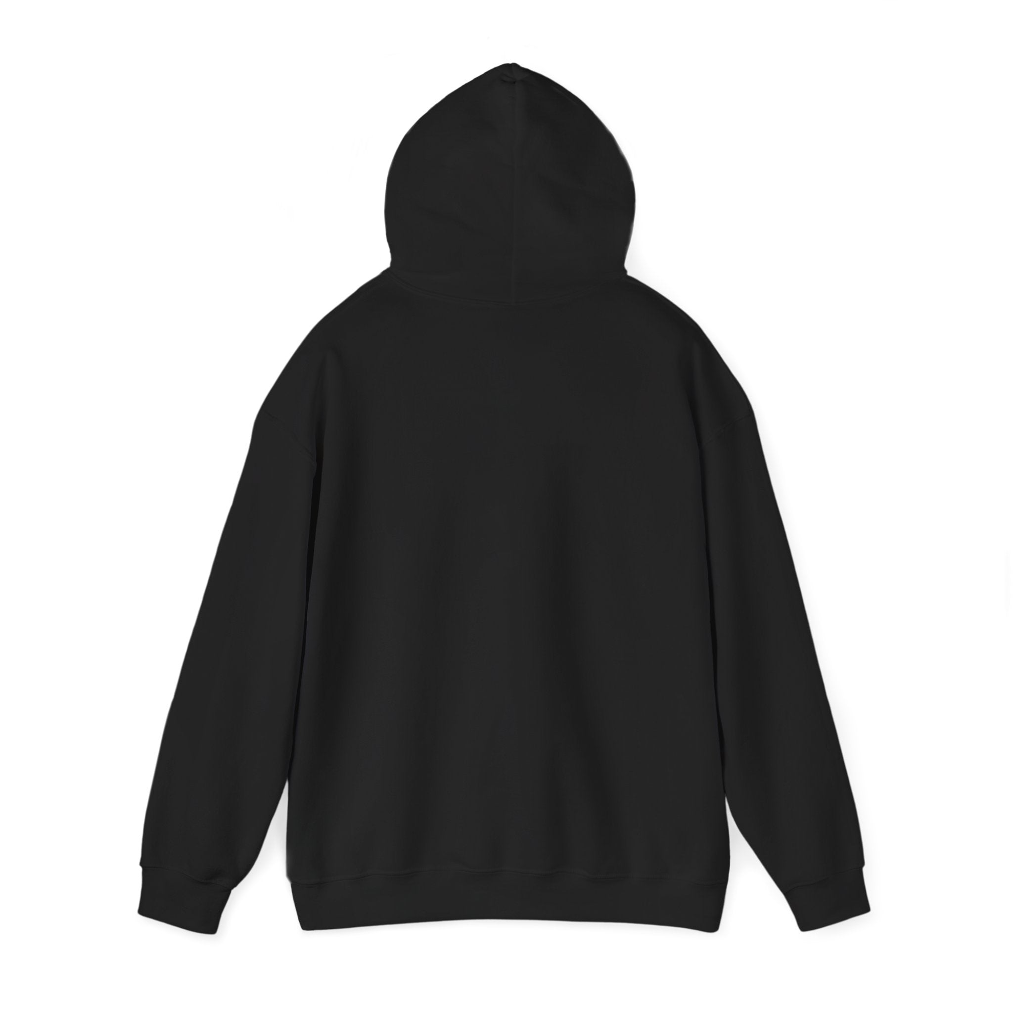Never Needed Co.™ Hoodie — “Still Didn’t Ask” Edition