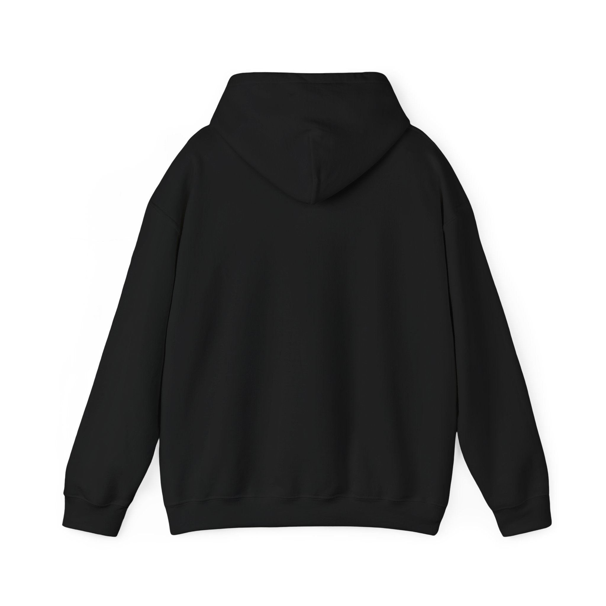 Never Needed Co.™ Hoodie — “Still Didn’t Ask” Edition