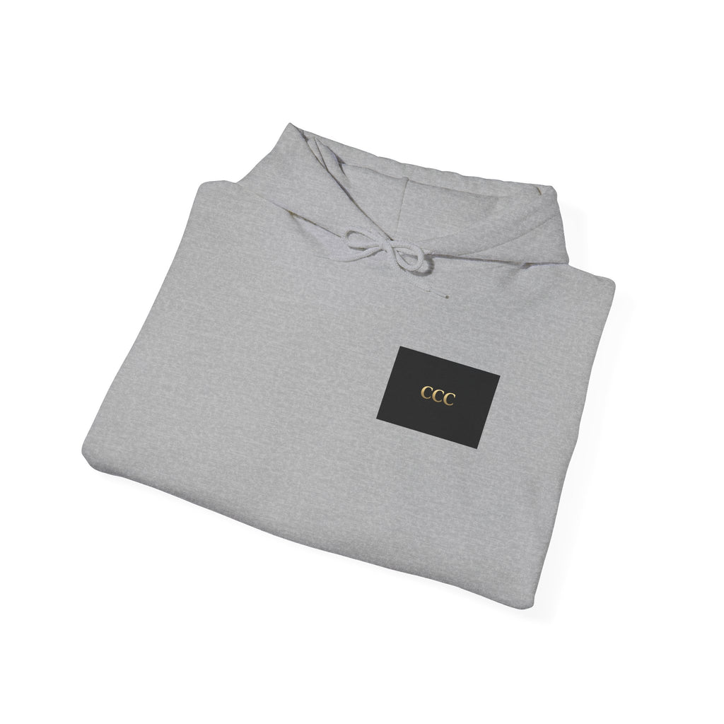 Never Needed Company – Smoke Hoodie (Purple Edition)